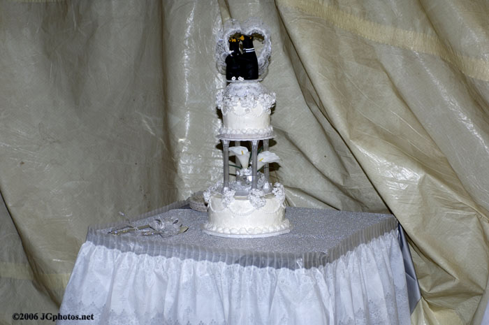 BearWedding04060044
