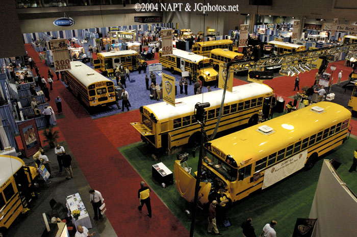 NAPT040491