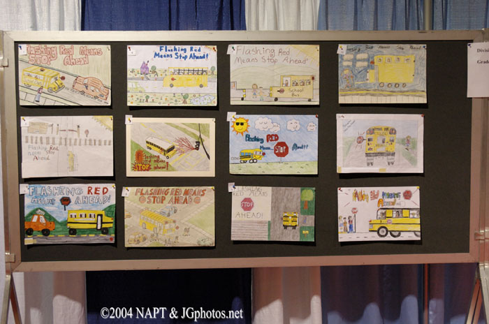 NAPT040530
