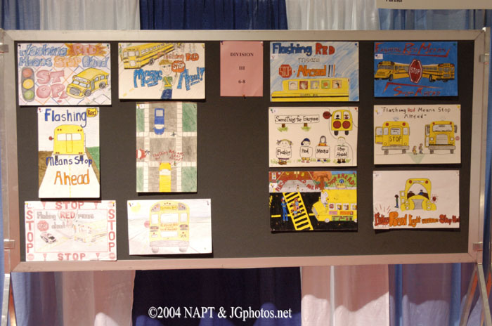NAPT040532