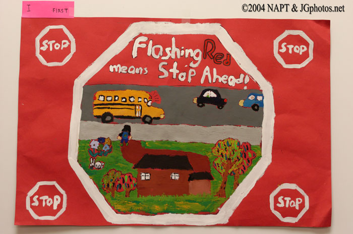 NAPT040633