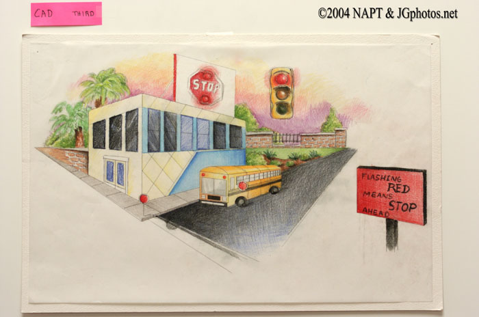 NAPT040663